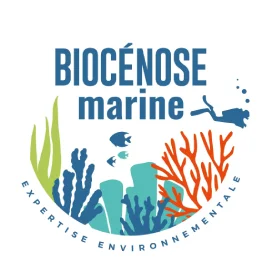 Biocénose marine