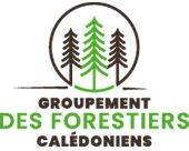 filière forêt bois Nouvelle-Calédonie