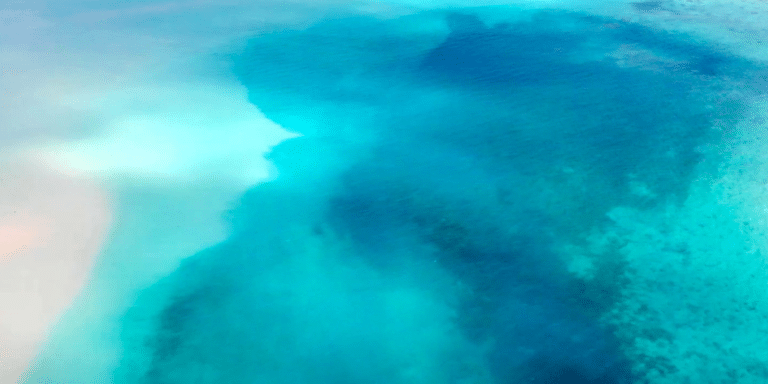 La Stratégie Pays de l’Innovation : nouveau cap pour l’écosystème calédonien !