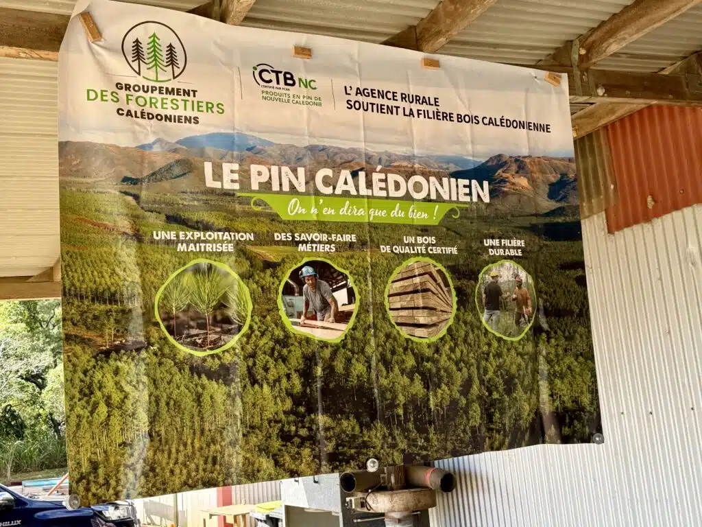 filière forêt Nouvelle-Calédonie