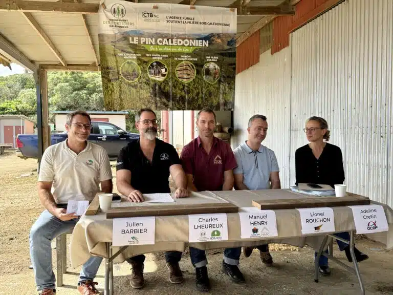 InterBois NC : la filière forêt-bois calédonienne se structure grâce à France 2030