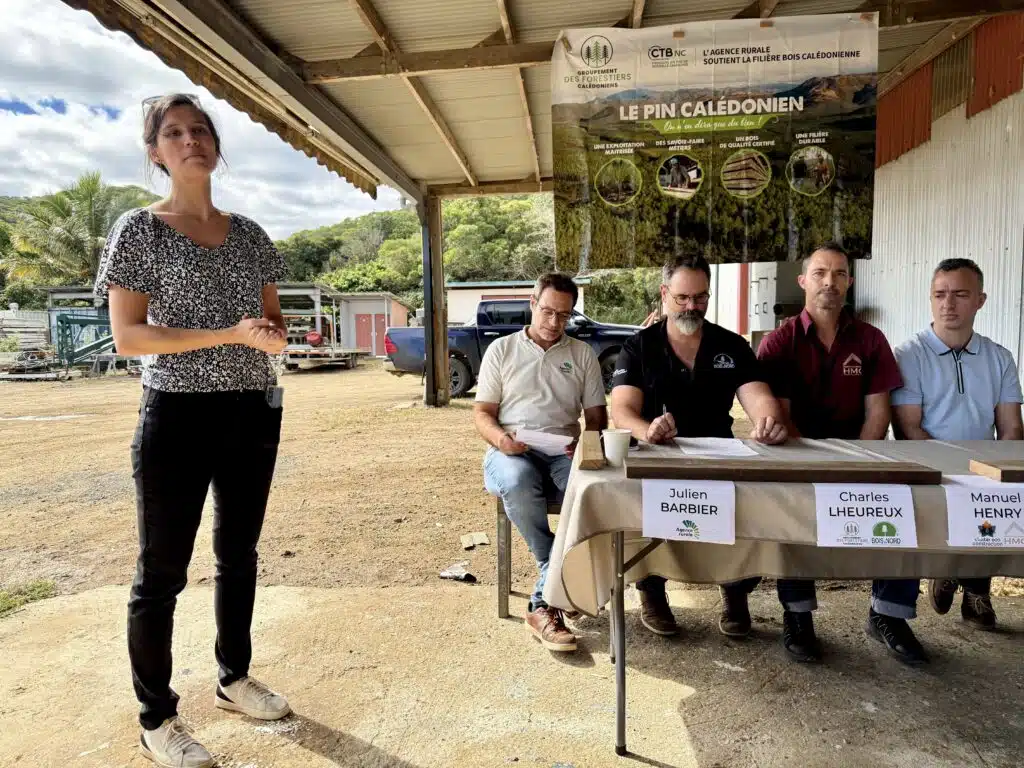 filière forêt Nouvelle-Calédonie